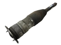 TESLA 600635200D Air shock absorber rear left TESLA MODEL S (5YJS) (2012-) — thumbnail 1