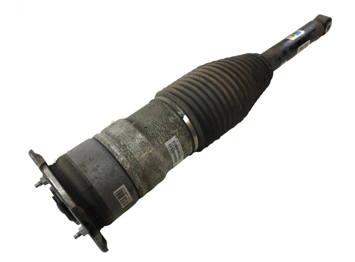 TESLA 600635200D Air shock absorber rear left TESLA MODEL S (5YJS) (2012-)