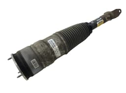 TESLA 600635104C Air shock absorber front right TESLA MODEL S (5YJS) (2012-) — thumbnail 1