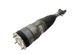 TESLA 600635104C Air shock absorber front left TESLA MODEL S (5YJS) (2012-) — thumbnail 1