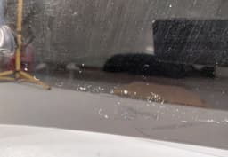 PEUGEOT Bonnet PEUGEOT 308 I (4A, 4C) (2007-2013) — thumbnail 2