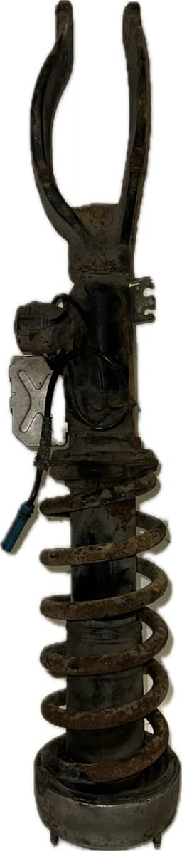 BMW 37116794531 Suspension Leg Front Left BMW X5 (E70) (2007-2013) — thumbnail 1