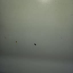 VW Rear Panel Door Right VW TRANSPORTER T5 / MULTIVAN (7H, 7E, 7J) (2003-2015) — thumbnail 7