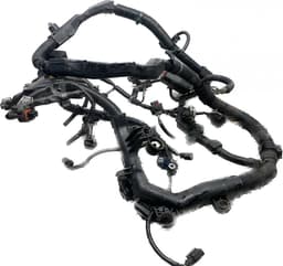 HONDA Engine wiring harness HONDA ACCORD VIII (CP, CU) (2007-2015) — thumbnail 1