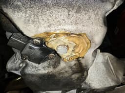 BMW 7781195.04 M57TUE2 11000441285 11000441286 306D3 Engine BMW X5 (E70) (2007-2013) — thumbnail 10