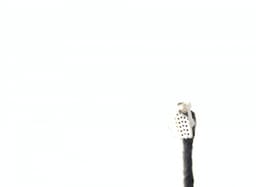 NISSAN 963023VF0C Mirror left NISSAN NOTE II (E12) (2013-2019) — thumbnail 5