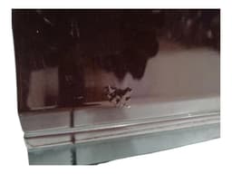 MAYBACH MAYBACH 57 W240 Right Front Door A2407200205 — thumbnail 8