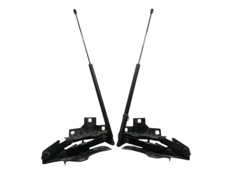 MAYBACH 57 W240 Bonnet Hinge Set A2408800128