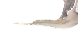 HONDA 71501TL0G10 Rear bumper HONDA ACCORD VIII (CP, CU) (2007-2015) — thumbnail 6
