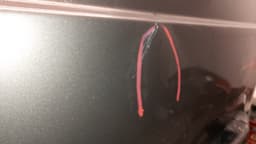 OPEL Rear Panel Door Left OPEL VIVARO B (2014-2018) — thumbnail 7