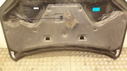 NISSAN F5100JG0MM Bonnet NISSAN X-TRAIL II (T31) (2007-2013) — thumbnail 9