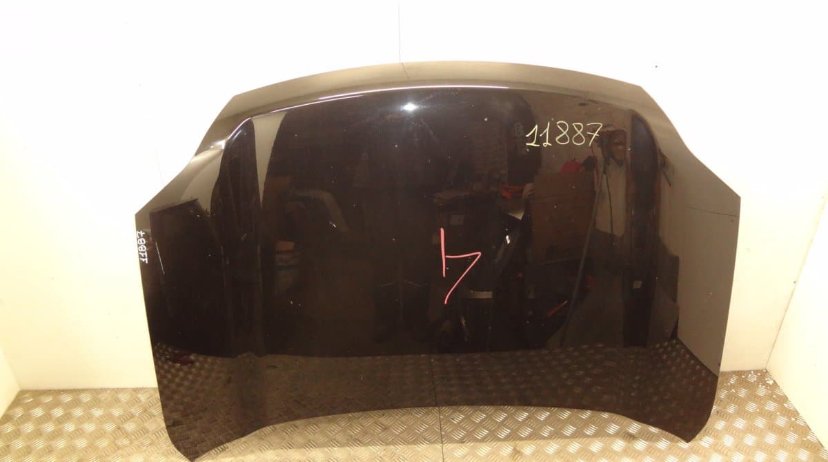 NISSAN F5100JG0MM Bonnet NISSAN X-TRAIL II (T31) (2007-2013)