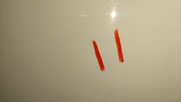 HYUNDAI 76003-2Y011 Door Front Left HYUNDAI TUCSON II / ix35 I (LM) (2009-2017) — thumbnail 5