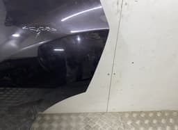 NISSAN H21011KKMD Door Rear Left NISSAN JUKE I (F15) (2010-2019) — thumbnail 4