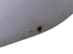 FORD PAM21R24631AC Door Rear Left FORD S-MAX I (2006-2014) — thumbnail 6