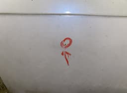 FORD PAM21R24631AC Door Rear Left FORD S-MAX I (2006-2014) — thumbnail 2