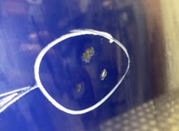 SKODA 5E5833056B Door Rear Right SKODA OCTAVIA III (5E) (2012-2019) — thumbnail 6
