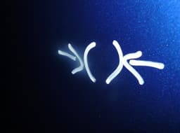 MAZDA Bonnet MAZDA 6 (GH) (2007-2012) — thumbnail 4