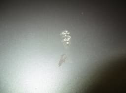 VOLVO Bootlid / tailgate VOLVO XC90 I (2002-2014) — thumbnail 3