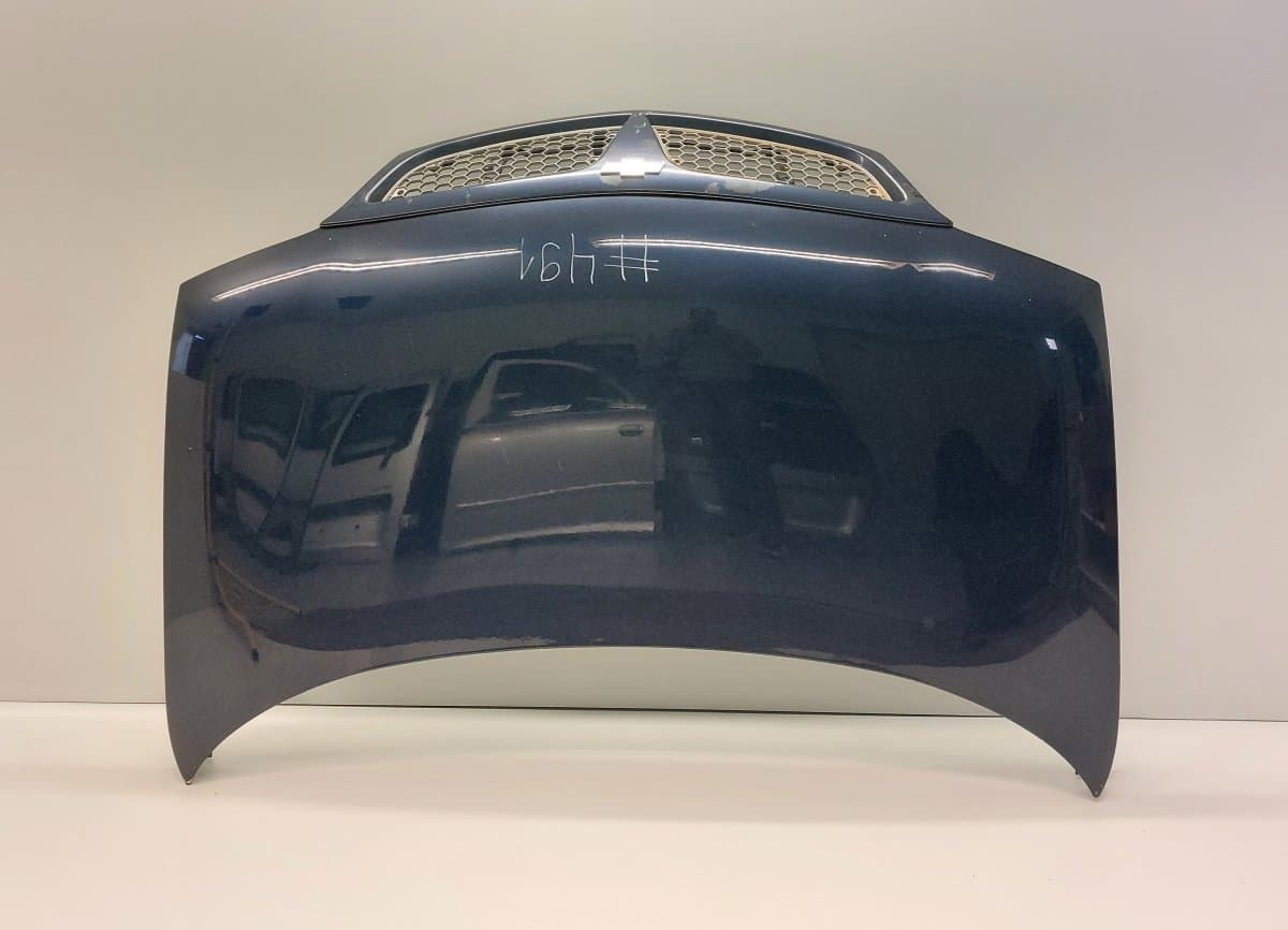 10363250 Bonnet CHEVROLET TRANS SPORT (1996-2005)