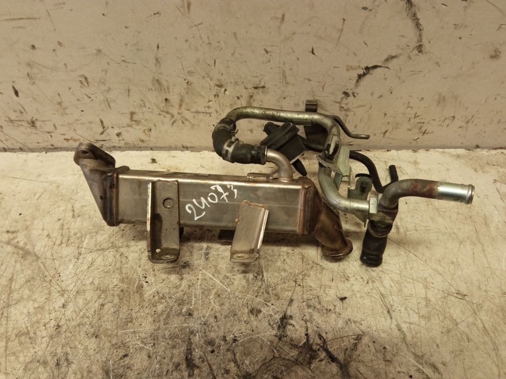 NISSAN EGR cooler NISSAN QASHQAI I (J10) (2007-2013)