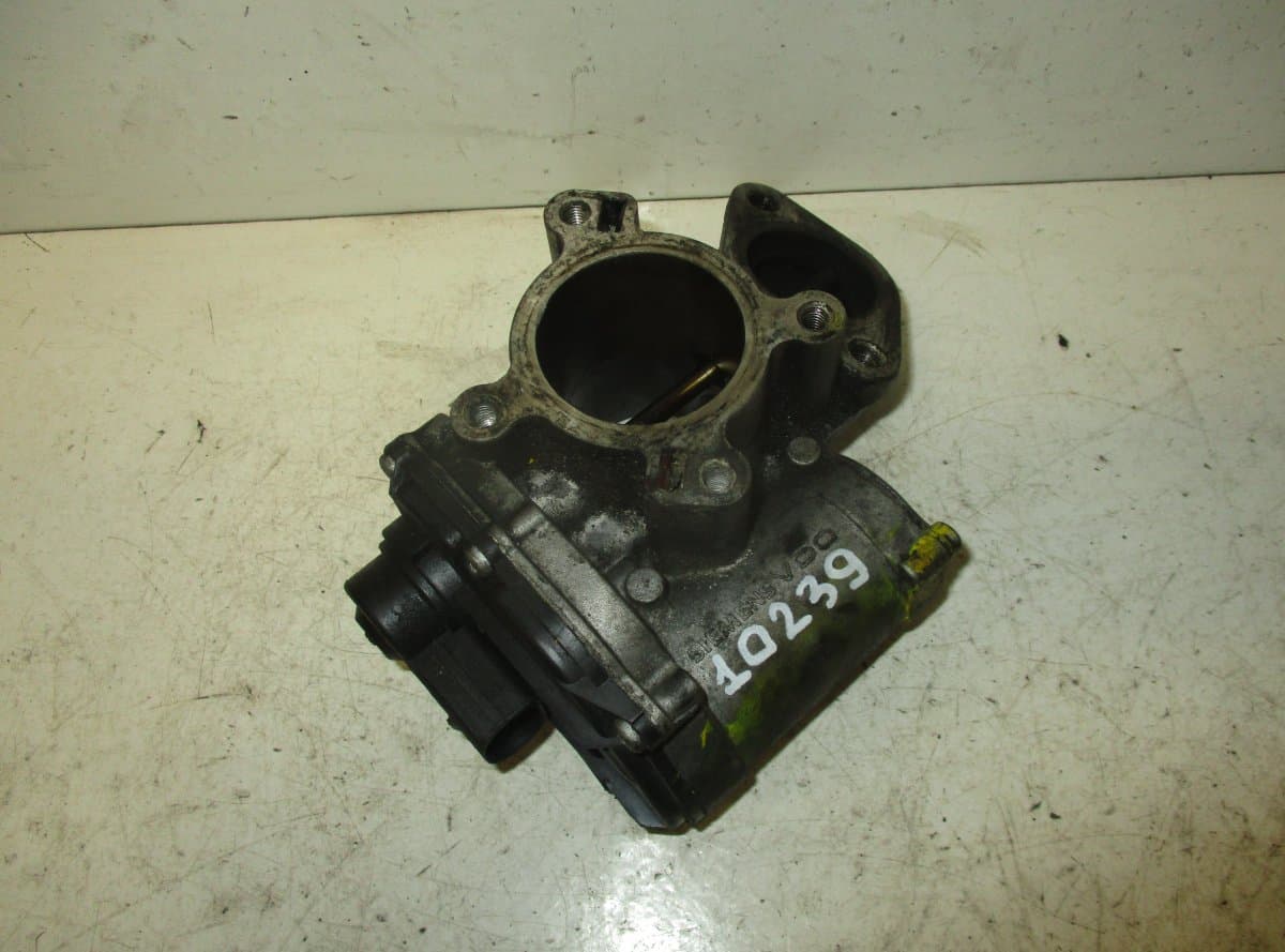 RENAULT EGR Valve RENAULT TRAFIC II (2001-2015)
