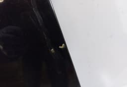 HONDA 67550SED000ZZ Door Rear Left HONDA ACCORD VII (CM, CN) (2003-2008) — thumbnail 2