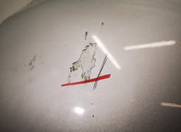 VW Door Rear Left VW TOUAREG I (7L) (2002-2010) — thumbnail 2