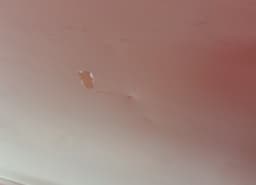 KIA 770031H000 Door Rear Left KIA CEE'D I (ED) (2006-2012) — thumbnail 4