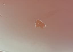 KIA 770031H000 Door Rear Left KIA CEE'D I (ED) (2006-2012) — thumbnail 5