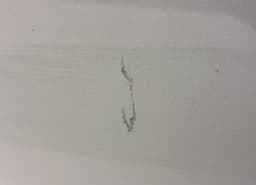 VOLVO 31335461 Door Rear Left VOLVO S40 / V50 / C30 / C70 (MS, MW) (2004-2012) — thumbnail 2