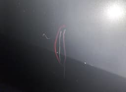 KIA 770043W000 Door Rear Right KIA SPORTAGE III (SL) (2010-2015) — thumbnail 4