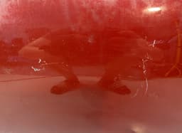 PEUGEOT Door Front Left PEUGEOT 208 I (A9) (2012-2019) — thumbnail 2