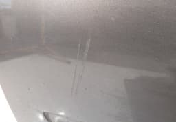 RENAULT Door Front Left RENAULT SCENIC II (JM0) (2003-2009) — thumbnail 4