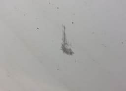 TOYOTA 670020F010 Door Front Left TOYOTA COROLLA Verso II (AR10) (2004-2009) — thumbnail 2