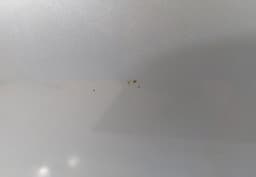 CITROËN Door Front Right CITROËN C8 (EA, EB) (2002-2014) — thumbnail 2