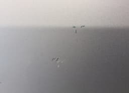 TOYOTA 670010F010 Door Front Right TOYOTA COROLLA Verso II (AR10) (2004-2009) — thumbnail 2