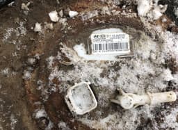 KIA 31150A6050 Fuel Tank KIA CEE'D II (JD) (2012-2018) — thumbnail 3