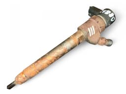 VOLVO 0445110251 0986435125 Fuel Injector VOLVO S40 / V50 / C30 / C70 (MS, MW) (2004-2012) — thumbnail 1