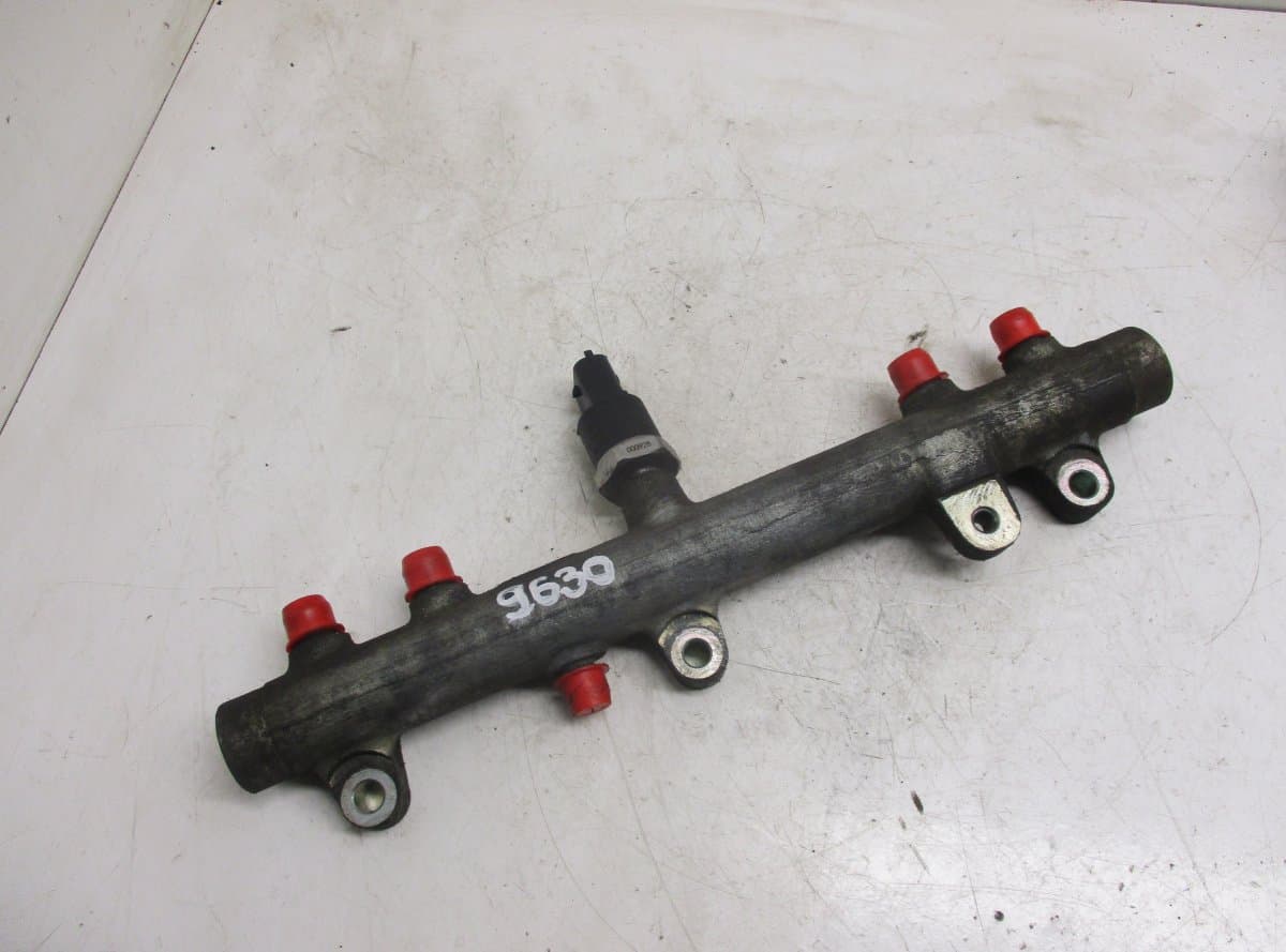 0445224009 Fuel Distributor / fuel rail CITROËN JUMPER I (1994-2002)
