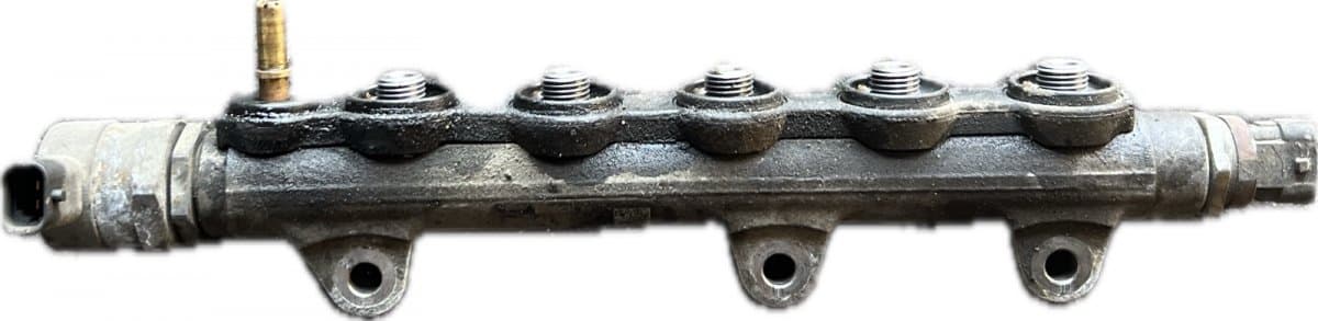 NISSAN Fuel Distributor / fuel rail NISSAN X-TRAIL II (T31) (2007-2013)