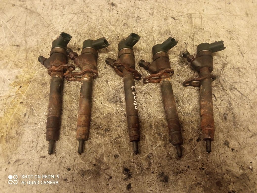 VOLVO 0445110251 Fuel Injector VOLVO V70 II / XC70 I (P80) (2000-2007)