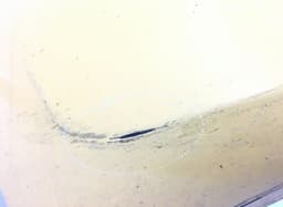 KIA Front Bumper KIA PICANTO II (TA) (2011-) — thumbnail 4