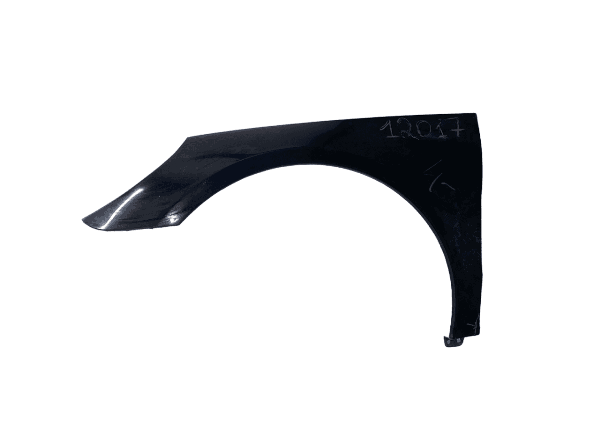 2518800506 Fender Front Left MERCEDES-BENZ R-CLASS (W251) (2006-2013)