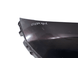 NISSAN F3101BV8MA Fender Front Left NISSAN JUKE I (F15) (2010-2019) — thumbnail 4