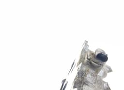 MERCEDES-BENZ A6420907737 A6420905437 Set of intake manifolds MERCEDES-BENZ GL-CLASS (X164) (2006-2012) — thumbnail 3