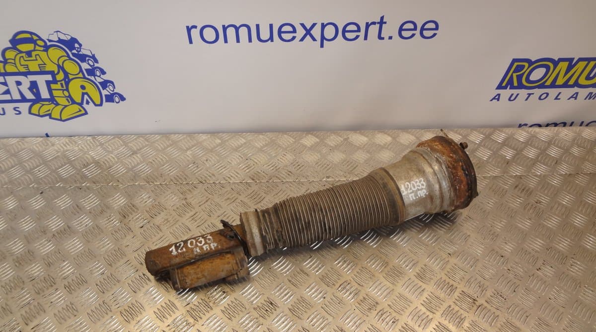 MERCEDES-BENZ C086053N6 Shock Absorber Front Right MERCEDES-BENZ S-CLASS (W220) (1998-2005)
