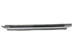 BMW Side Member (Threshold) Right BMW X5 (E53) (2000-2007) — thumbnail 1