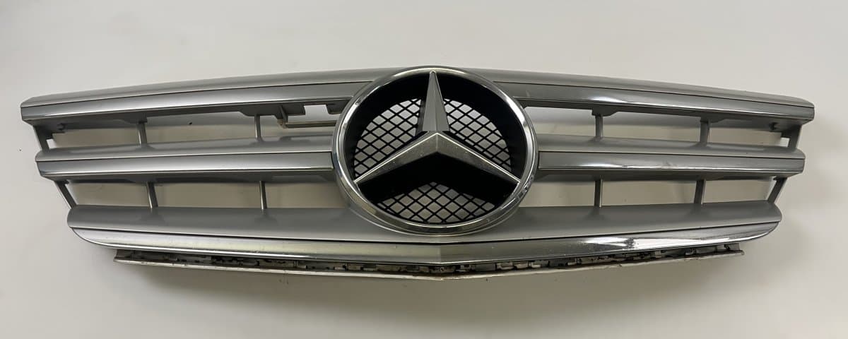 MERCEDES-BENZ A1698881660 Radiator Grille MERCEDES-BENZ B-CLASS (W245) (2005-2011)
