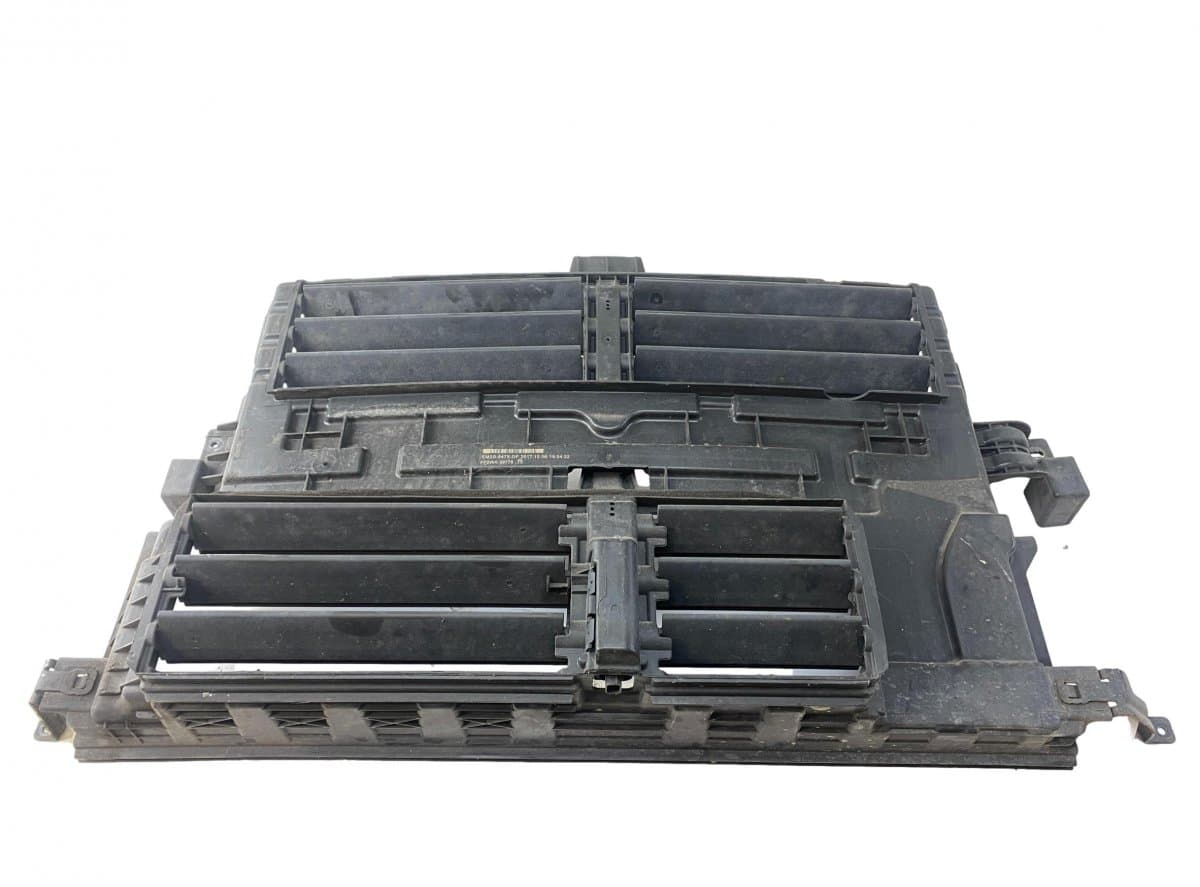FORD 1900419 Radiator shroud FORD GALAXY III (CD4, CK) (2015-2023)